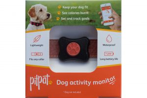 PitPat Dog Activity Monitor