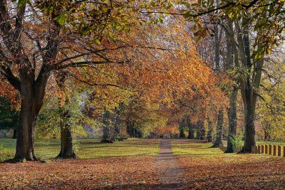 Abington Park in Autumn