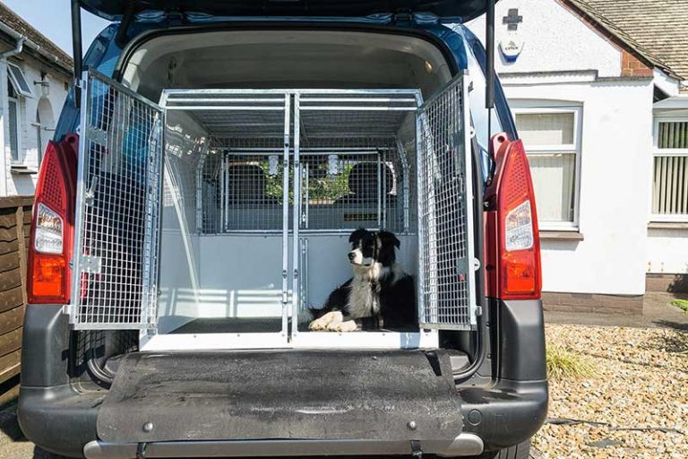 Pet Transport UK - Northampton Dog Walker